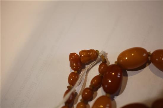 A single strand graduated oval amber bead necklace, 32in.